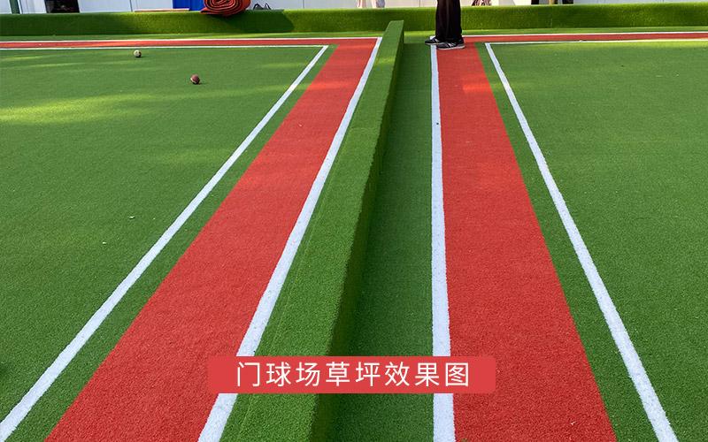 門(mén)球場(chǎng)草坪效果圖